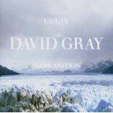 David Gray : Life in Slow Motion